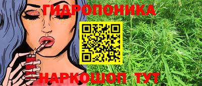 эйфоретик Тула