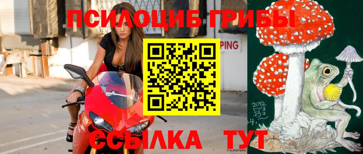 Псилоцибиновые грибы прущие грибы  Вход с VPN  Псилоцибиновые грибы прущие грибы  наркошоп  Нижнеудинск 